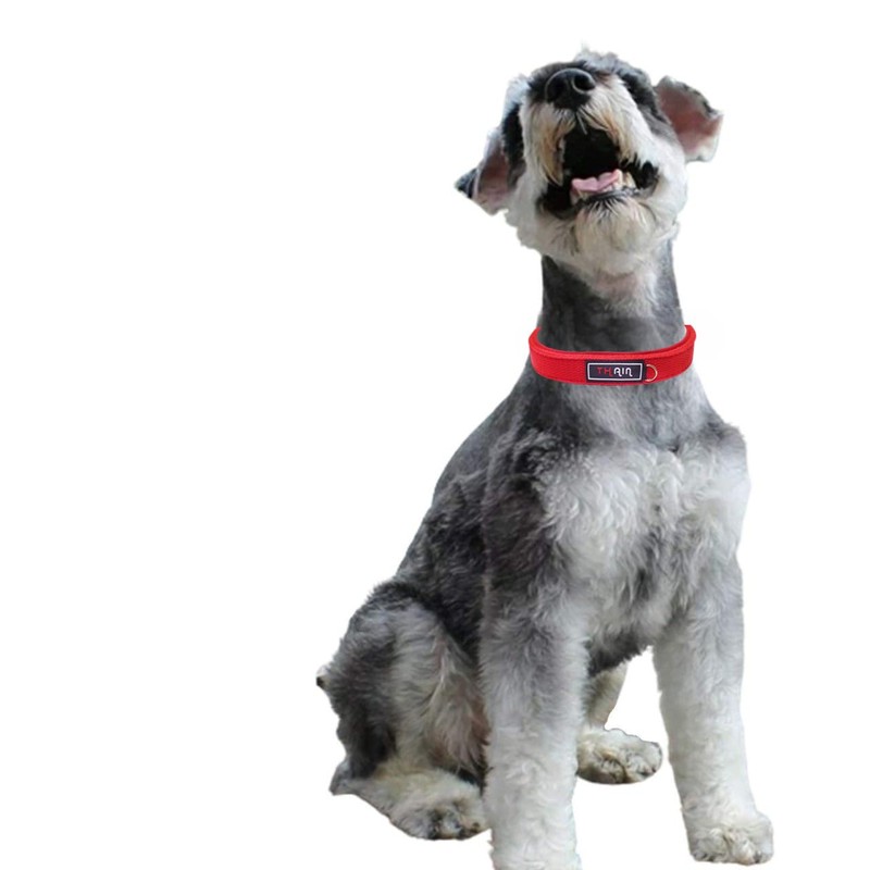 THAIN Dog Collar, Basic, 5 Holes, Adjustable, Stylish, Cute, Dog