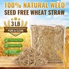 Natural Wheat Straw 3 LB, Dry Clean Soft Wheat Straw