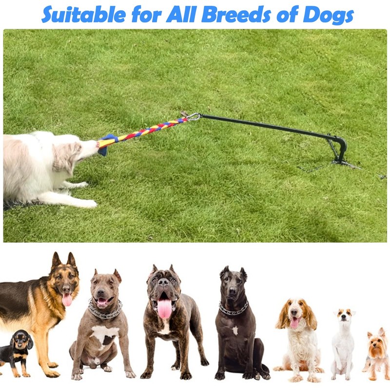 SYOOY Tether Outdoor Dog Toy,Interactive Exercise Game in Yard Park