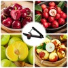 Cherry Pitter, Stainless Steel Cherry Stone Remover, Quick & Clean