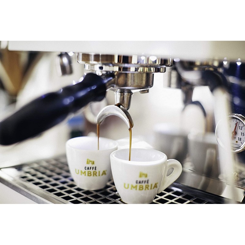 Caffe Umbria Fresh Seattle Whole Bean Roasted Coffee, Terra Sana
