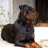 OOPSDOGGY Rottweiler Dog Muzzle for Large Dogs - Leather Breathable