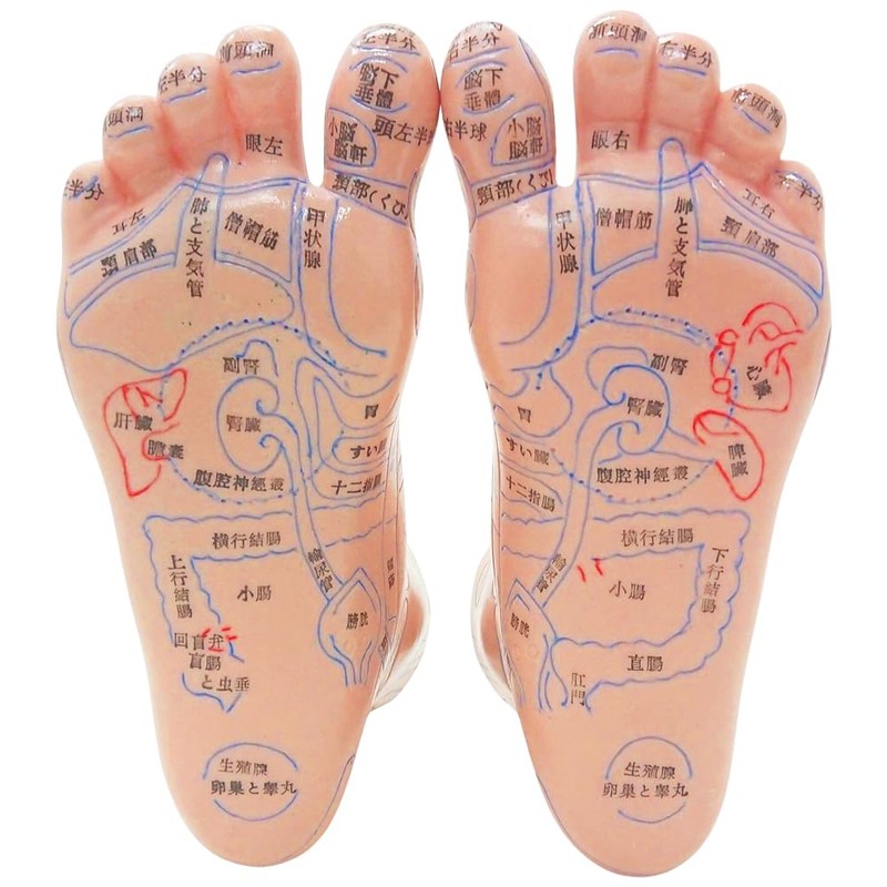 UPstore Reflection Area, Acupuncture Poles, 3D Illustration, Japanese Notation, Left