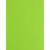 50 Sheets A4 Fluorescent Green 80GSM Paper - Printer Copier