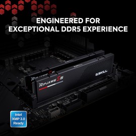 G.SKILL Ripjaws S5 Series (Intel XMP 3.0) DDR5 RAM 32GB (2x16GB) 5600MT/s CL46-45-45-89 1.10V Desktop Computer Memory UDIMM - Matte Black (F5-5600J4645A16GX2-RS5K)