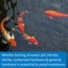 API POND 5 IN 1 POND TEST STRIPS Pond Water