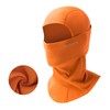 ROCKBROS Balaclava, Neck Warmer, For Winter, Cold Protection, Balaclava, Fleece