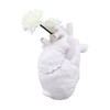 Creative Anatomical Heart Vases Resin Sculpture Heart Shaped Art Flower