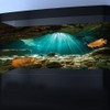 Pinpai 36X20 Inches Fish Tank Background, Sunshine Ocean Floor Terrarium
