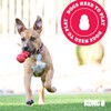 Kong Juguete en Forma de Llanta para Perro, pequeño