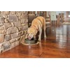 PetSafe Drinkwell Replacement Filter for Current Pet Fountains, Pack of