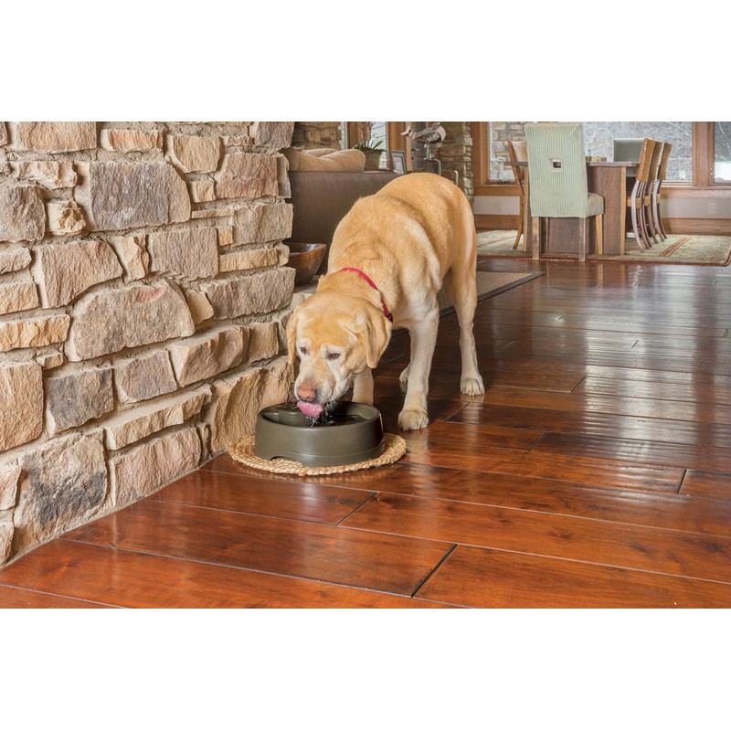 PetSafe Drinkwell Replacement Filter for Current Pet Fountains, Pack of