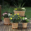 LeafLassie Plant Pot Feet for Outdoor Planters, 24PCS Invisible Flower