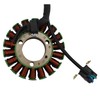 GOOFIT Magneto Stator Coil Replacement for 250NK 2017-2021 300SR 2022-2023