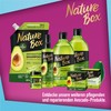 Nature Box Spülung Reparatur (80 g), fester Conditioner mit Avocado-Öl