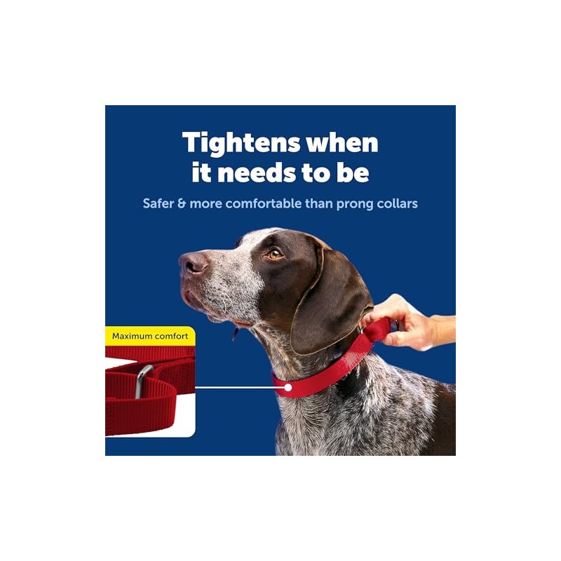 PetSafe Martingale Collar 1 Large, Red