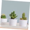 VICASKY 3pcs Plastic Flowerpot Water Trays Rectangular Potted Plant Bases