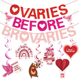 Ovaries Before Brovaries Banner Galentines Day Decorations Happy Galentines Day Banner Galentines Day Party Decorations Girl Ladies Galentines Day Decorations