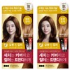 Elastine Salon de Color & Gray Hair Dye, Light Brown, 2 Pieces / 엘라스틴 살롱 드 컬러 앤 새치 염색제, 밝은갈색, 2개