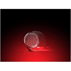 GLASFOTO.COM, Flower of Life Drinking Glass 0.25 L Diameter 66 x 155 mm Crystal Glass 3D Inner Engraving in Premium Quality