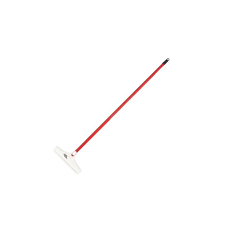 ROBERTS 12" Carpet Rake and Groomer with 51" Handle