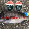 【ASPALAND】Cone Float Black Tai Chinu Float Fukase Beach Fishing 2