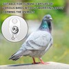 SATINIOR 2 Pcs Bird Leg Trap Professional Bird Pigeon Leg