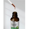 Horbäach Green Tea Extract Liquid Drops | 2 Fl Oz