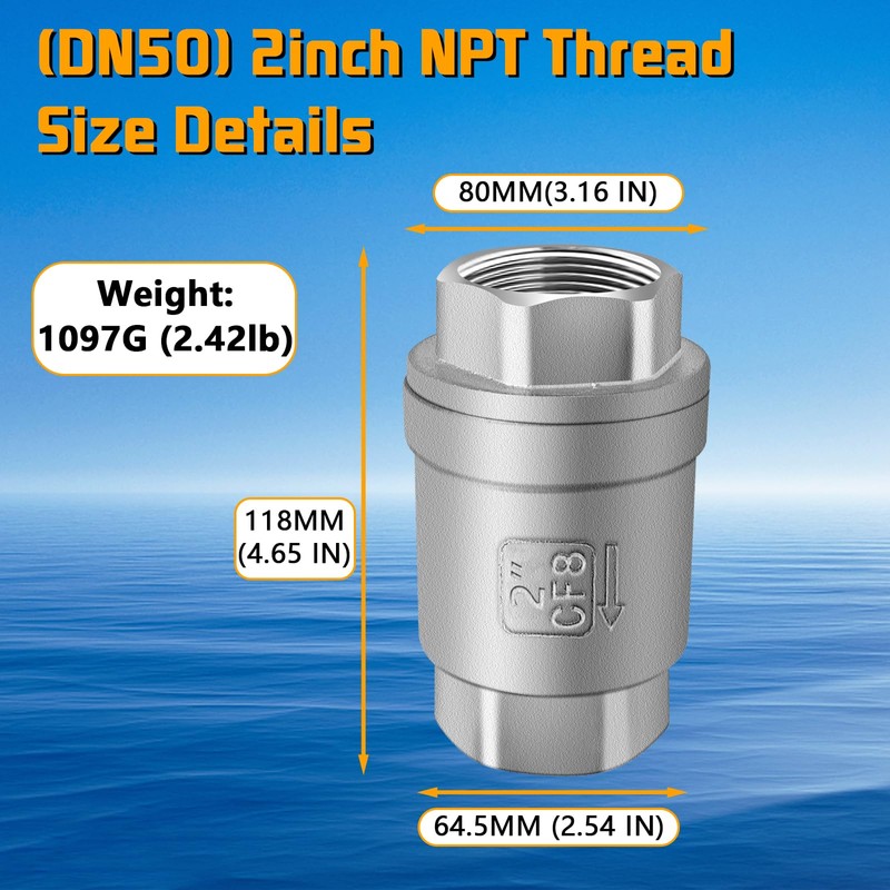 Boltigen 2 inch Spring Check Valve, 304 Stainless Steel CF8