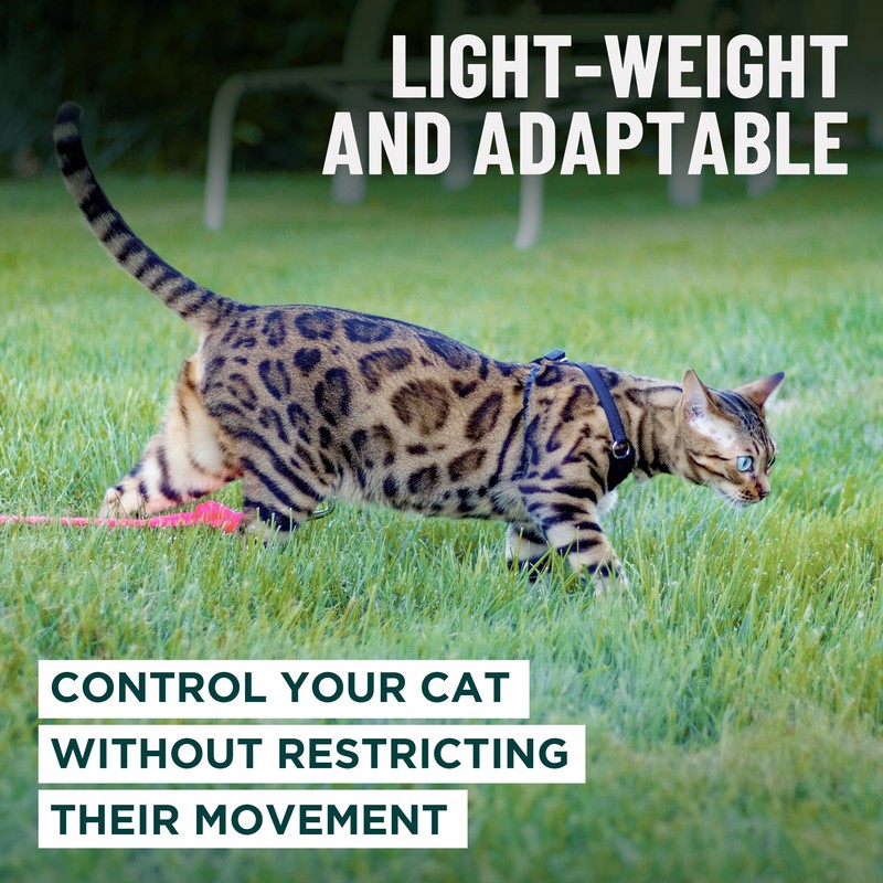 Houdini™ Escape Proof Cat Harness and Leash Set by OutdoorBengal