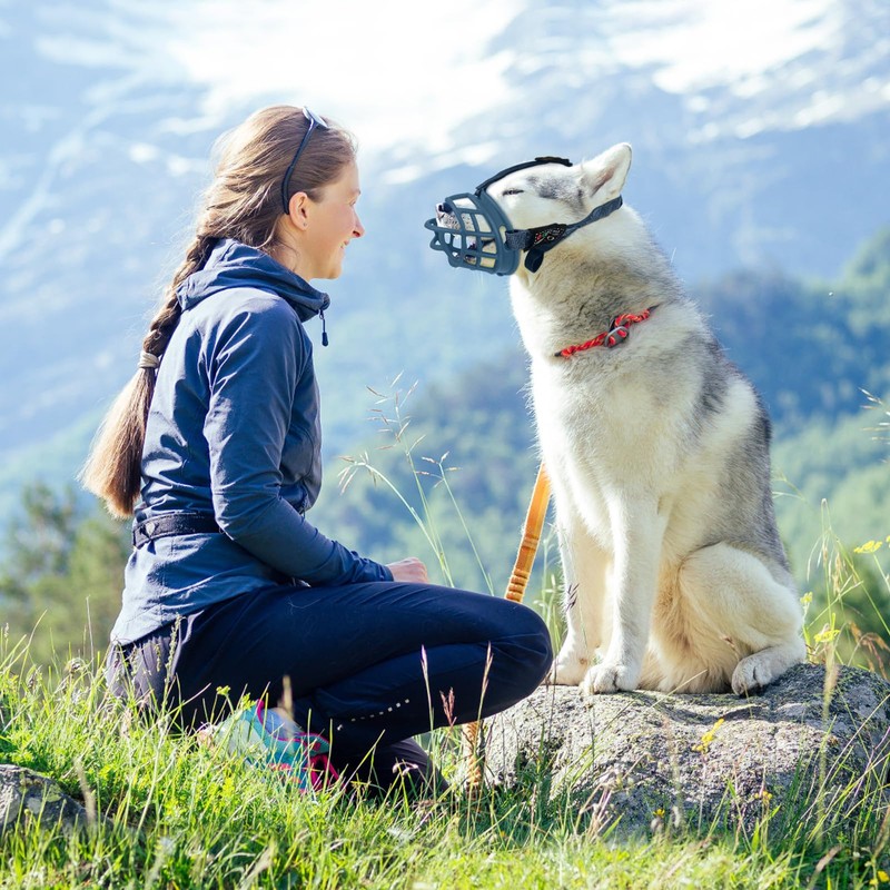 Dog Muzzle, Soft Rubber Basket Muzzle for Small Medium Large