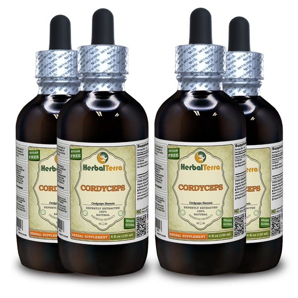 Cordyceps (Cordyceps Sinensis) Tincture, Organic Dried Mushroom Powder Liquid Extract (Brand Name: HerbalTerra, Proudly Made in USA) 4x4 fl.oz (4x120 ml)