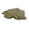 prademir Laurel Leaves 1A Quality 50 g Laurel Leaves Dried