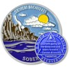 7 Month Sobriety Coin Sobriety Chips AA Chip AA Coins