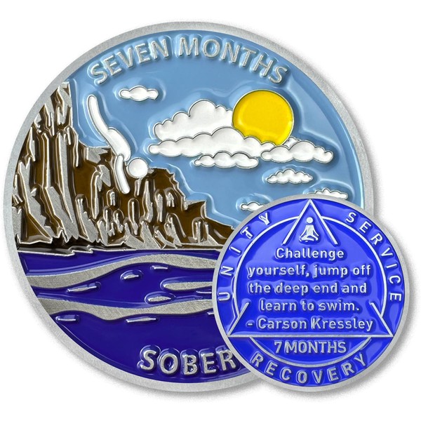 7 Month Sobriety Coin Sobriety Chips AA Chip AA Coins