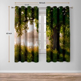 Jekeno Oak Tree Forest Blackout Curtains Green Jungle Nature Landscape Foggy Scenery Stream View Print Tree Decor for Bedroom Living Room Grommet Window Drapes 2 Panel Set, 52"x63"