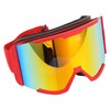 Adult Ski Goggles Double Layer Anti Fog Large Field Cylindrical