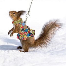 Squirrel Leash and Harness Set, Squirrel Traction Rope Strap, Ferret Squirrel Harness Vest, Adjustable Flora Small Animal Harness Vest for Ferret, Squirrel, Dwarf Chinchilla, Guinea Pig, Fancy Rat