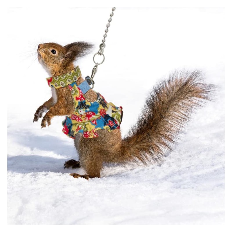 Squirrel Leash and Harness Set, Squirrel Traction Rope Strap, Ferret