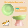 Ieblica Ceramic Elevated Cat Bowls Tilted Raised Cat Bowl Anti