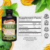 Barlean's Peppermint Olive Leaf Complex Liquid Immune Support Supplement, 95mg