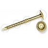 25 x 120mm Wood Screws Timber TORX Wafer Head for