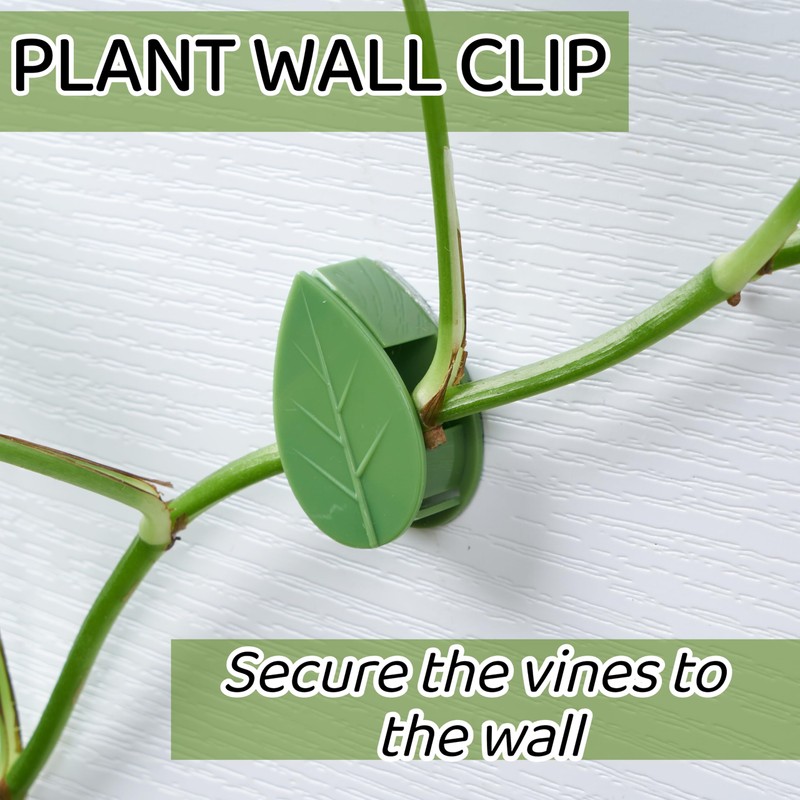CIQIYO 30/60/100PCS Plant Climbing Wall Fixture Clips,Invisible Wall Plant Vines