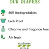 Nateen Flex Maxi Adult Incontinence Underwear for Women and Men,
