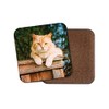 1 x Cute Ginger Cat Cork Backed Drinks Coaster -