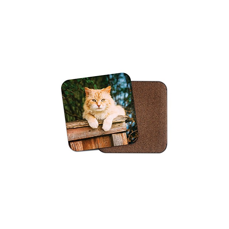 1 x Cute Ginger Cat Cork Backed Drinks Coaster -