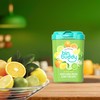 Bin Buddy Fresh Citrus + Citronella, 450g