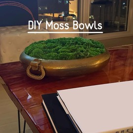 Preserved Pole Moss Pillow Moss Bun Moss Cushion Moss Natural Green Decorative Real (Green-C)(1.5 sq.ft.)