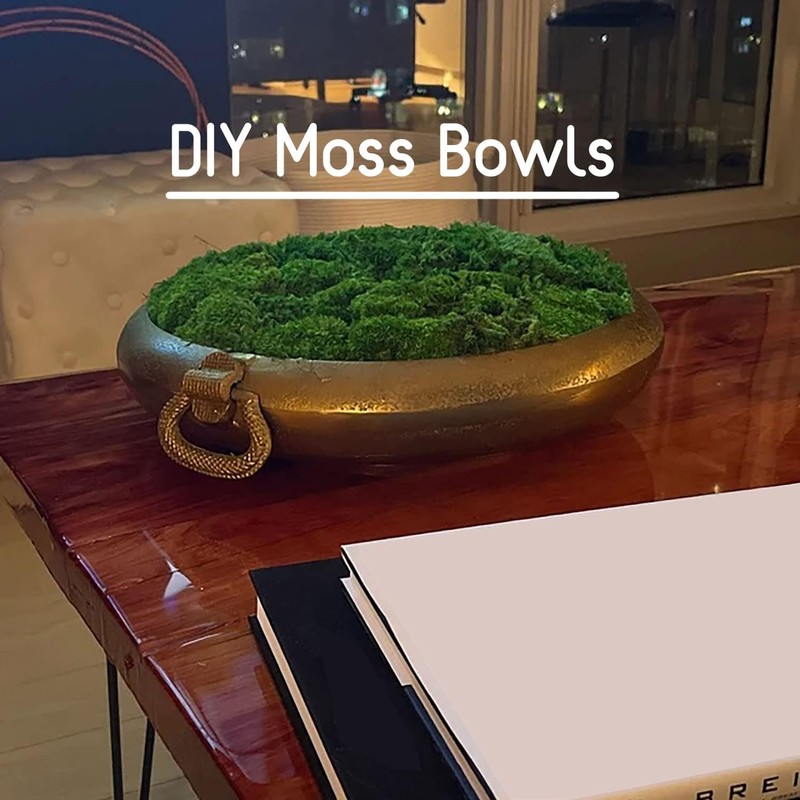 Preserved Pole Moss Pillow Moss Bun Moss Cushion Moss Natural