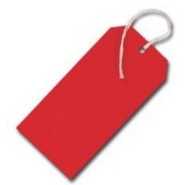 50 Pack - 120 x 60mm Red Coloured Strung Tags